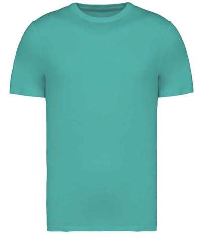 Native Spirit Unisex Heavyweight T Shirt