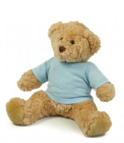 Mumbles Teddy T-Shirt
