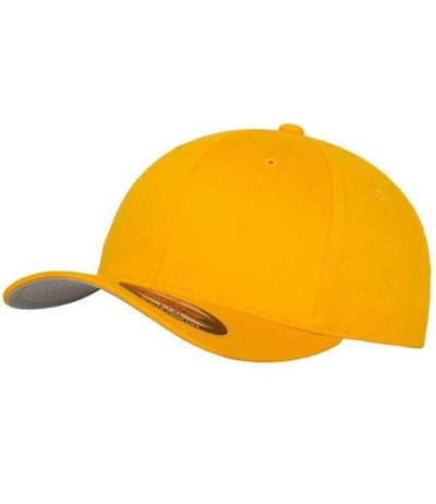 Flexfit Fitted Baseball Cap