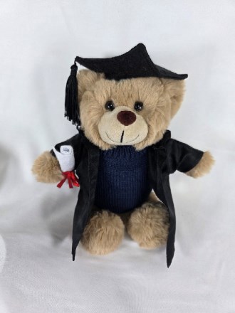 Stanley Grad Bear with gown and jumper