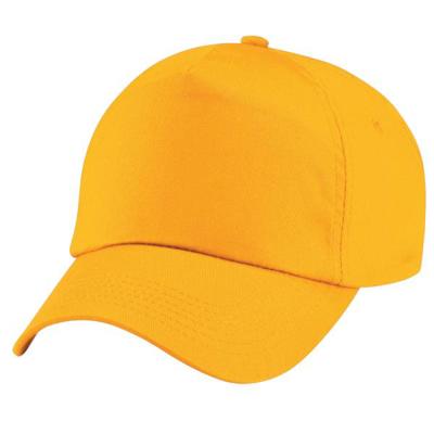 Colours Cap