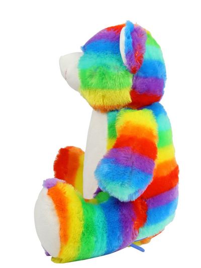 Zippie Rainbow Bear