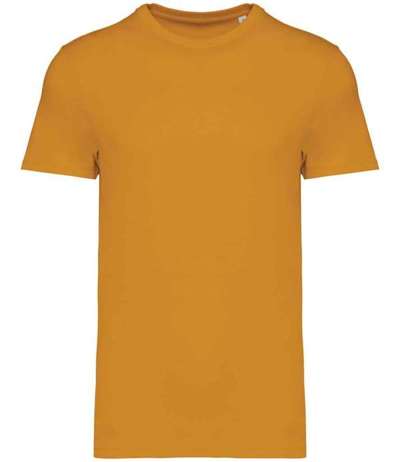 Native Spirit Unisex Heavyweight T Shirt