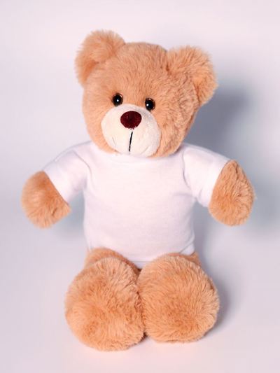 Barnaby Bear with tee