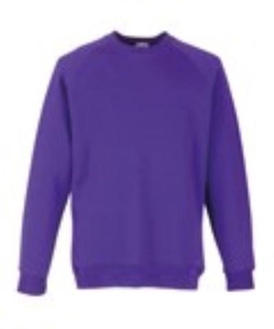 Kids Raglan Sweatshirt