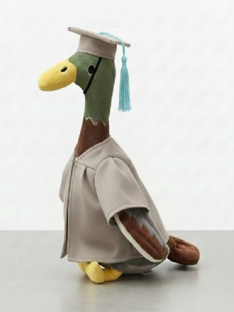 Long Boi Grad Cap and Gown