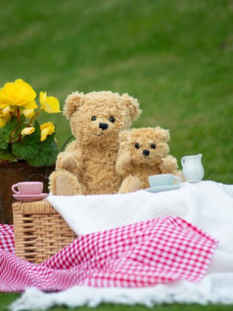 Teddy Bear