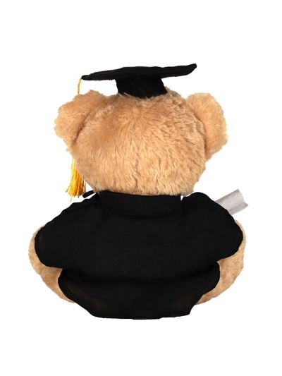 Graduation Bear