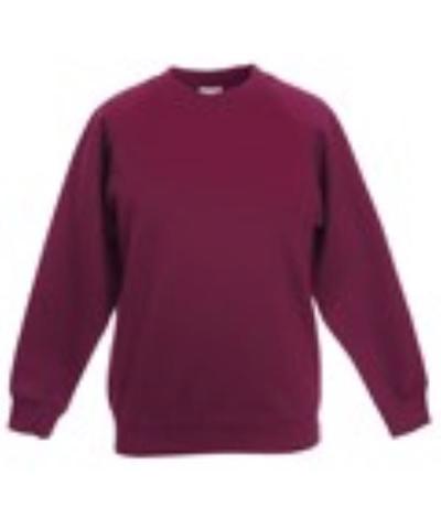 Kids Raglan Sweatshirt