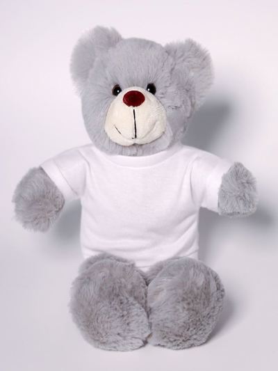 Stanley Bear with Tee