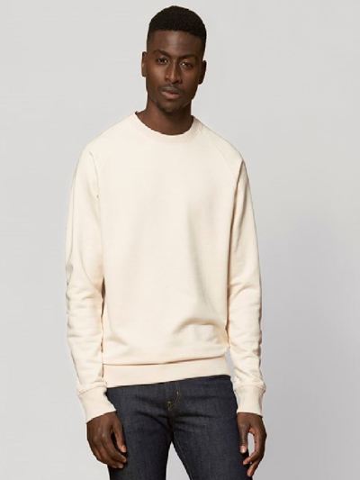 unisex iconic crew neck sweatshirt