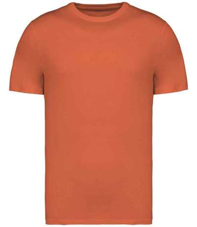 Native Spirit Unisex Heavyweight T Shirt