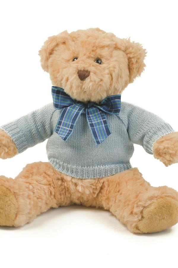 TEDDY JUMPER                  
