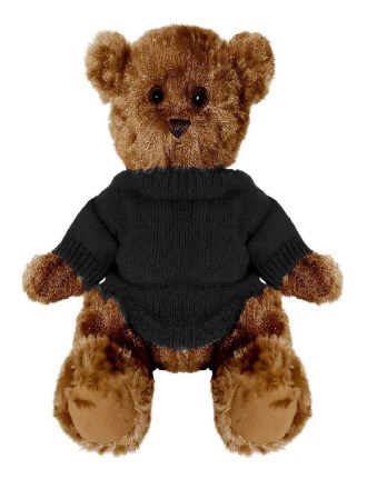 Bernie Bear with jumper