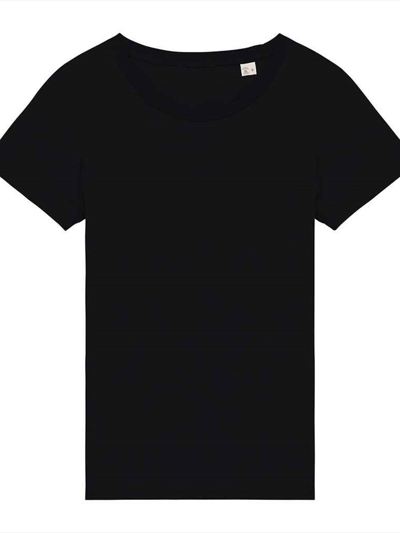 Native Spirit Ladies T-Shirt