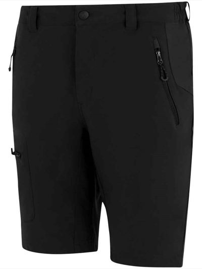 Regatta Prolite Stretch Shorts