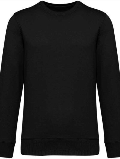 Native Spirit Unisex French Terry Crew Neck Sweatshirt