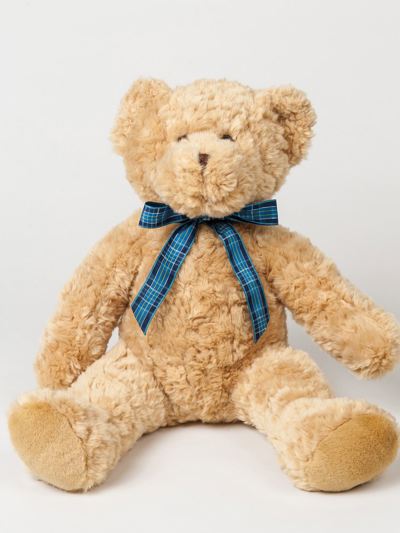 Bracken Bear