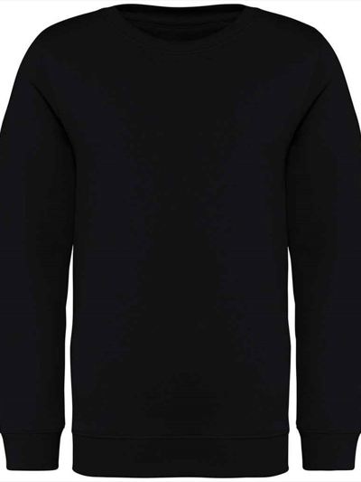 Native Spirit Kids Crew Neck Sweatshirt