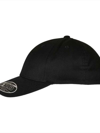 Flexfit 110 Curved Visor Snapback Cap