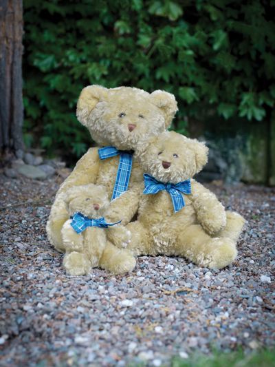 Bracken Bear