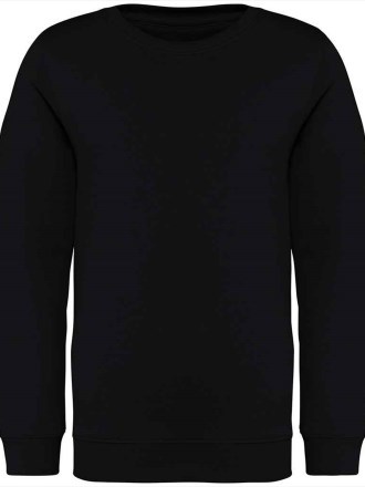 Native Spirit Kids Crew Neck Sweatshirt