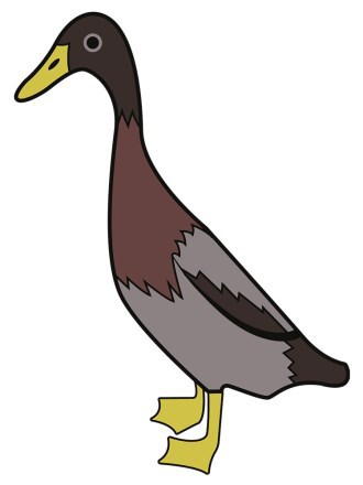 LongBoi