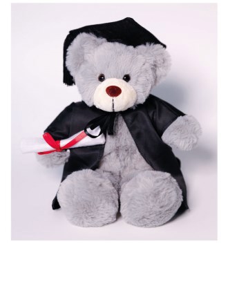 JSW MK Stanley Bear