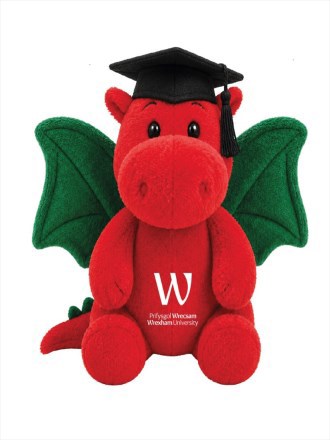 Bespoke Dragon with cap