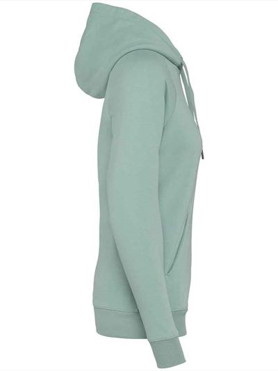 Native Spirit Ladies Raglan Sleeve Hoodie