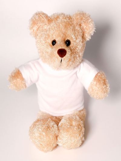 Rocky Bear with Tee