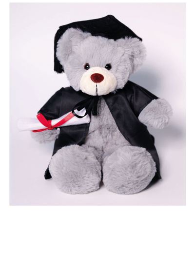 JSW MK Stanley Bear