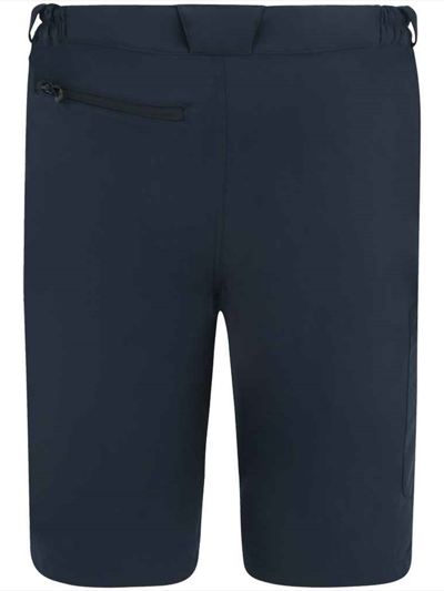 Regatta Prolite Stretch Shorts