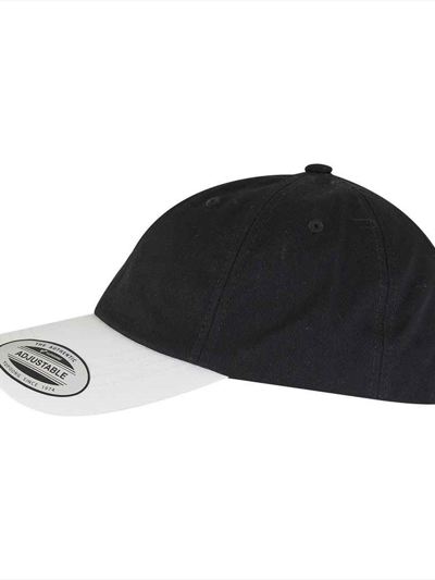 Flexfit Low Profile Two Toned Classic Cap