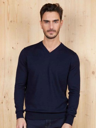 NEOBLU Sullivan V Neck Sweater