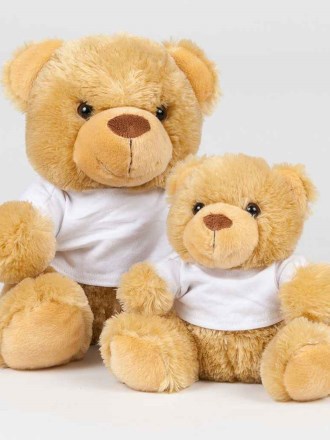 Bear In A T-Shirt