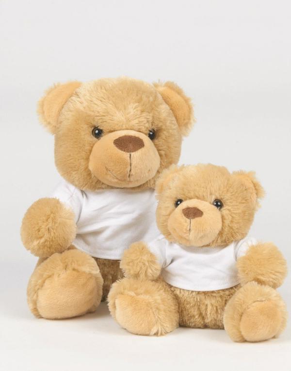 Bear In A T-Shirt